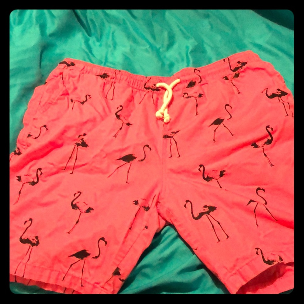Pink Flamingo Men’s Shorts